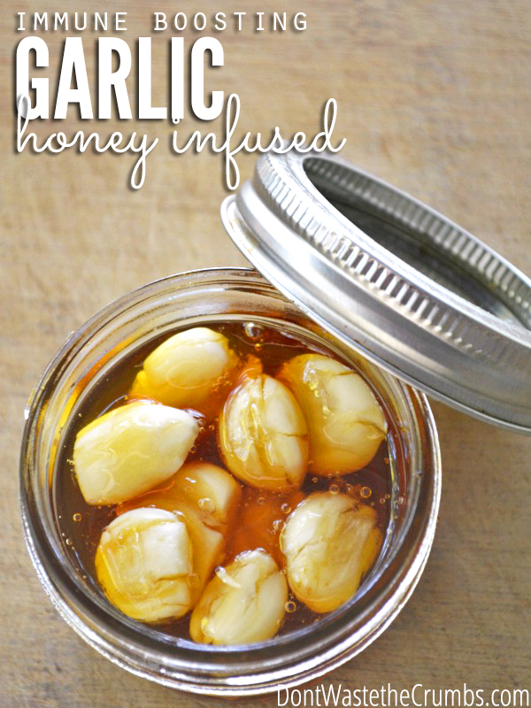 honey-infused-garlic-cover1