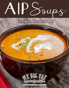49 AIP Soups!