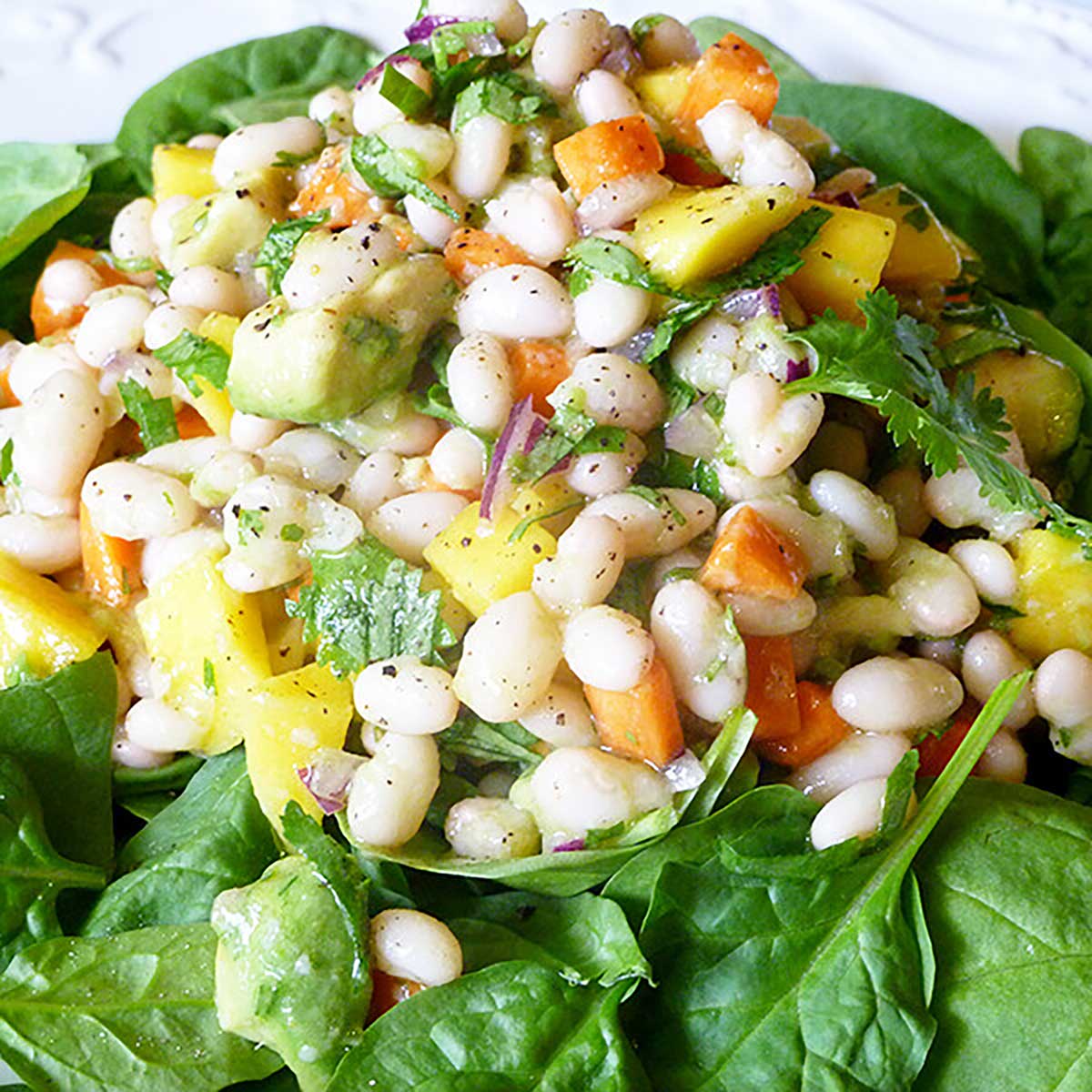 navy bean salad recipe