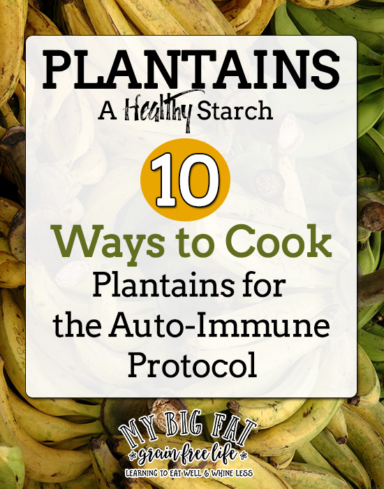 10 Ways to Cook Plantains for the Auto-Immune Protocol