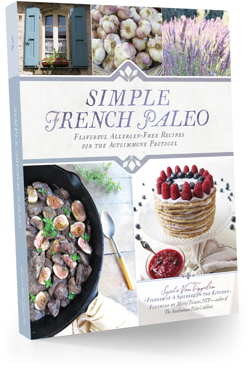 Simple French Paleo Cookbook Review
