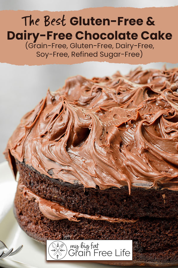 gluten free dairy free chocolate cake recipe