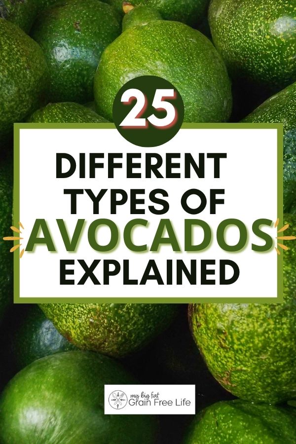 25 Different Types of Avocados Explained