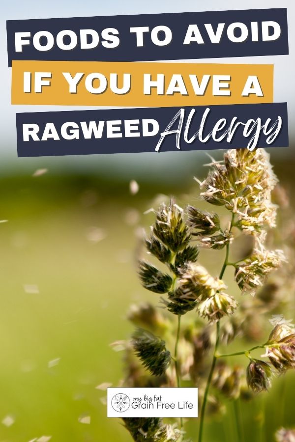 Foods To Avoid If You Have A Ragweed Allergy Foods To Avoid If You Have A Ragweed Allergy
