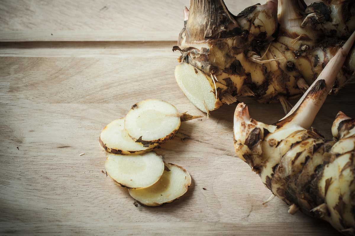 Galangal