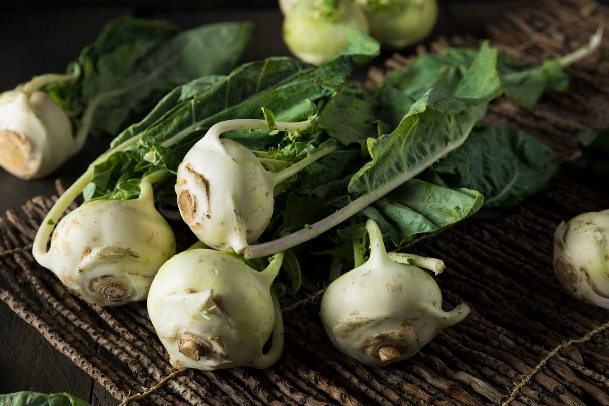 Kohlrabi