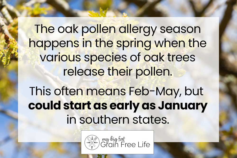 allergy season