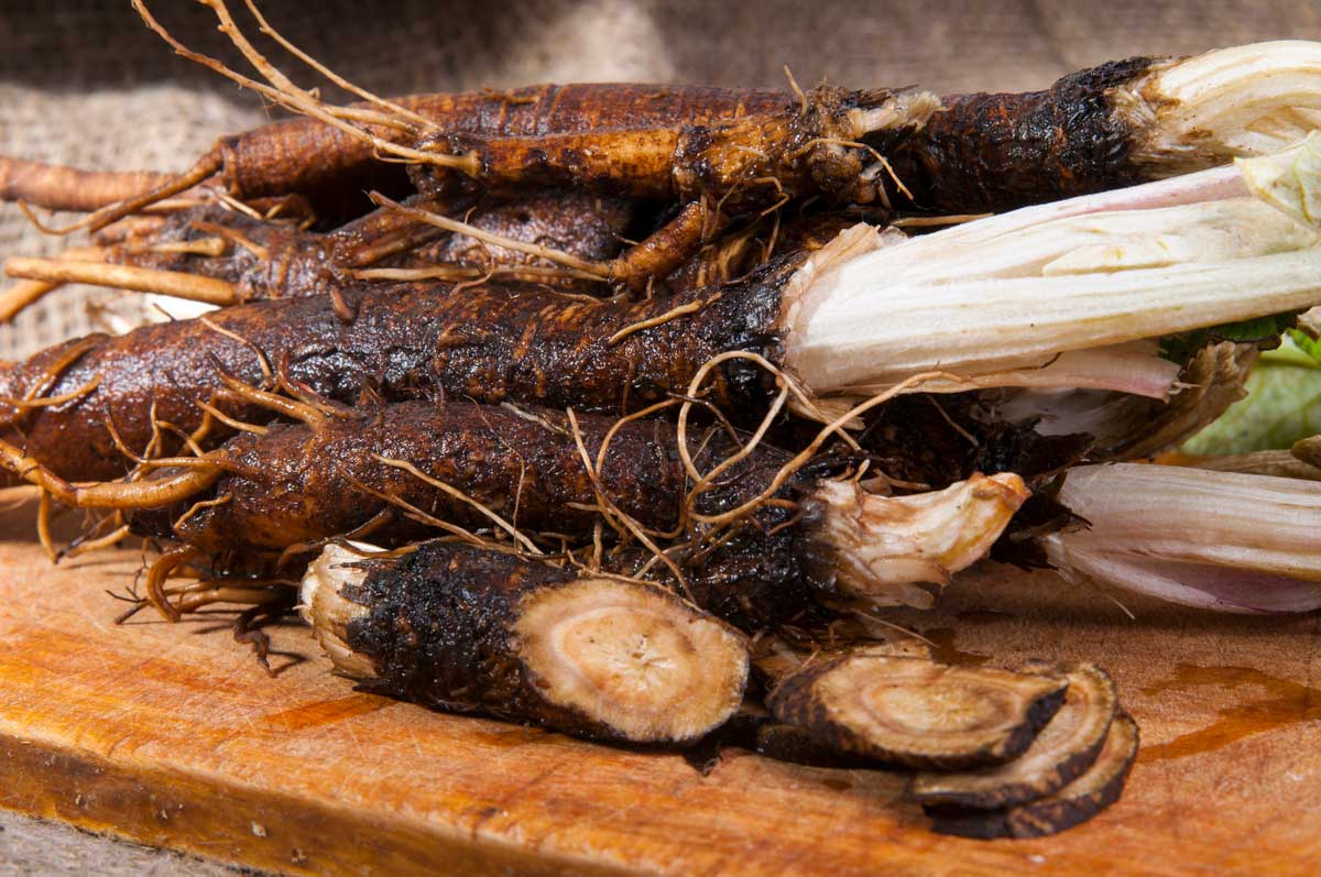 Burdock root