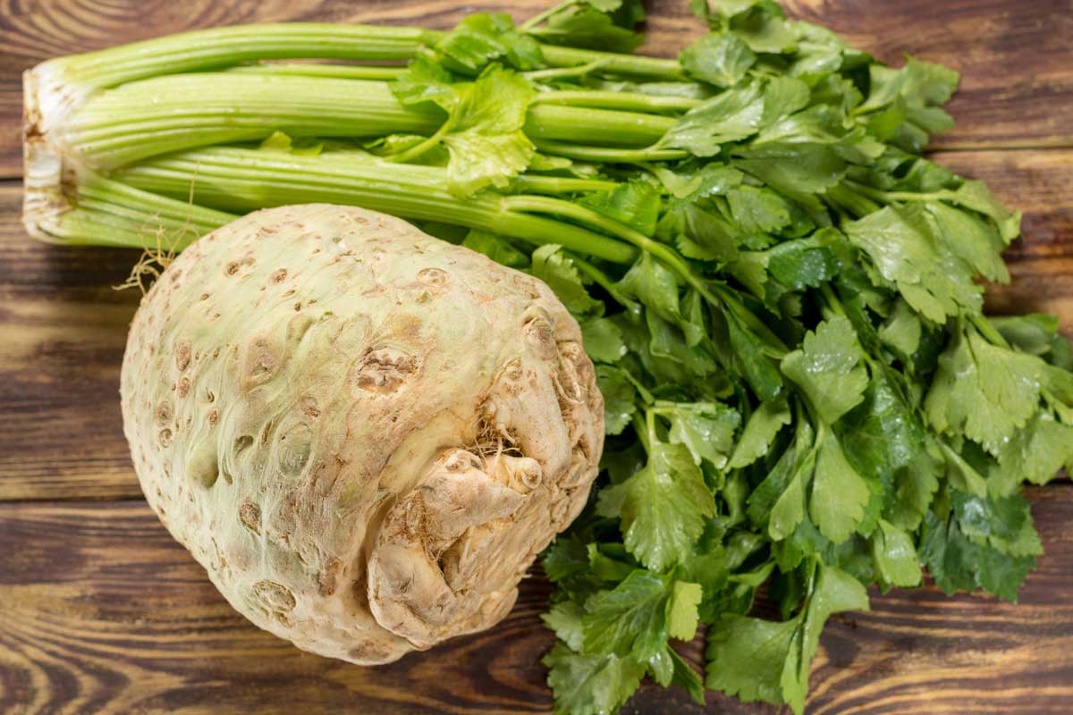 Celeriac