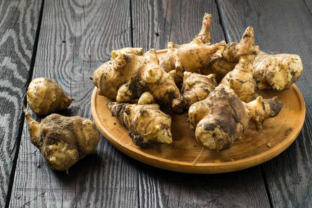 Jerusalem Artichoke