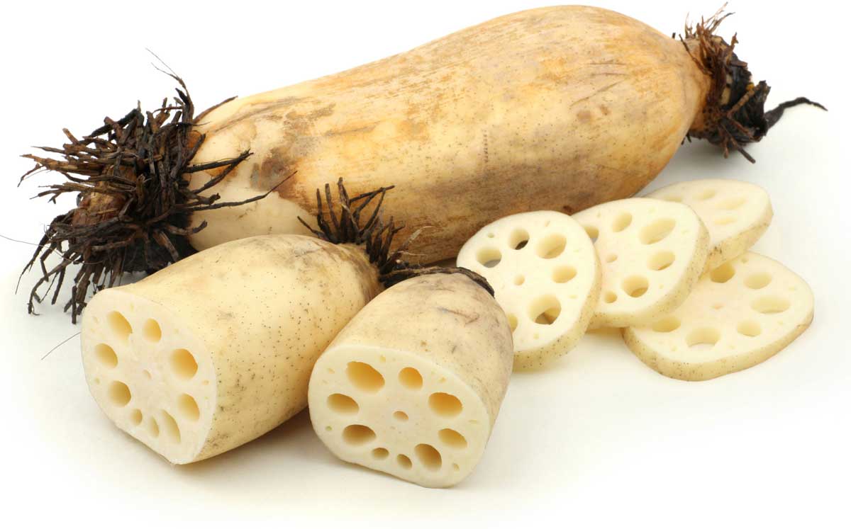 Lotus roots