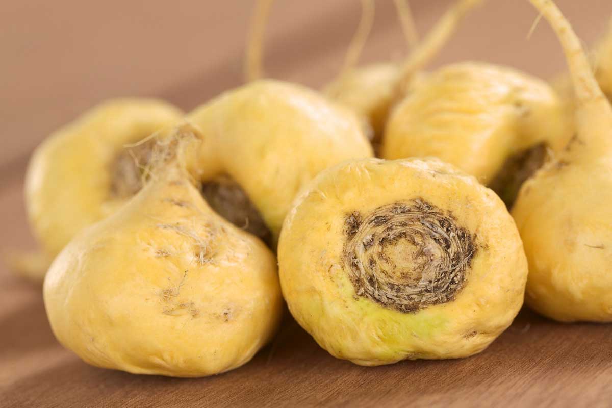 maca root