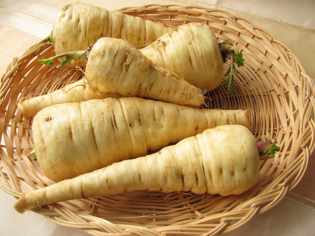 parsnips