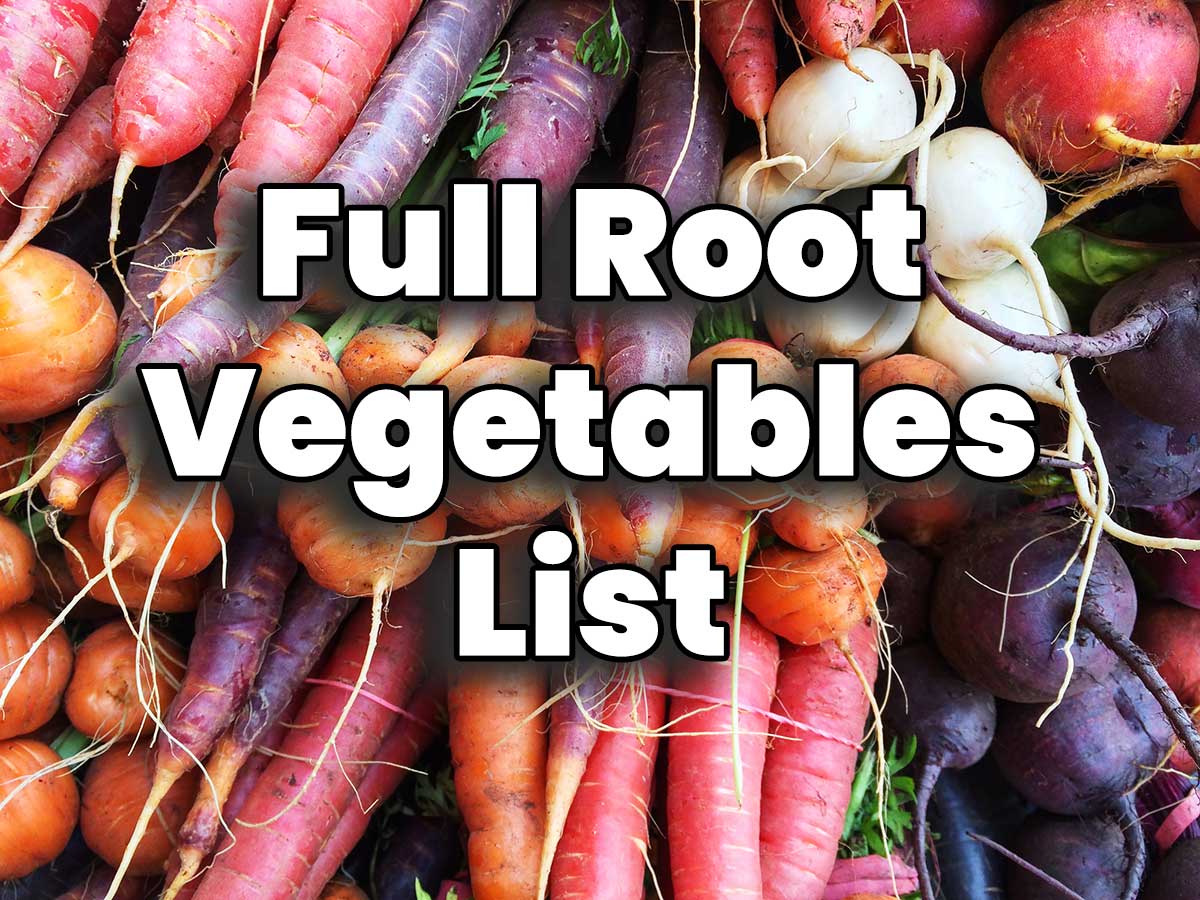 root vegetables list