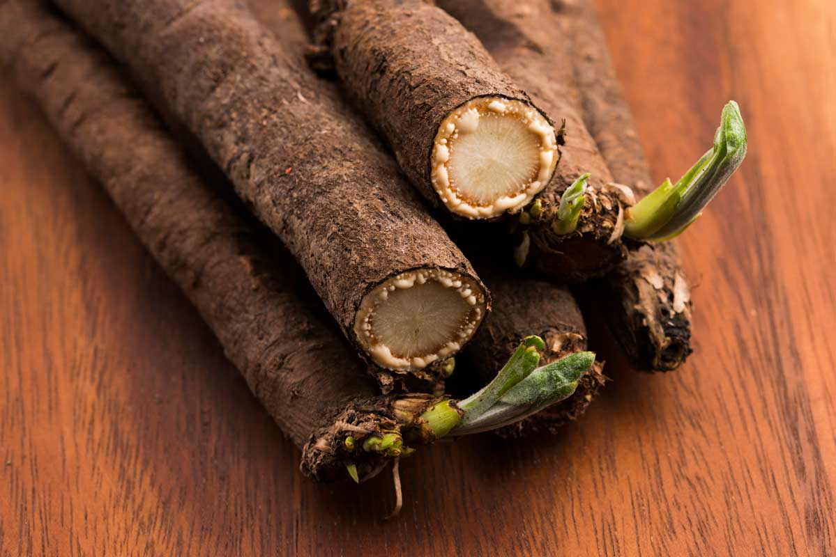 Salsify root vegetable