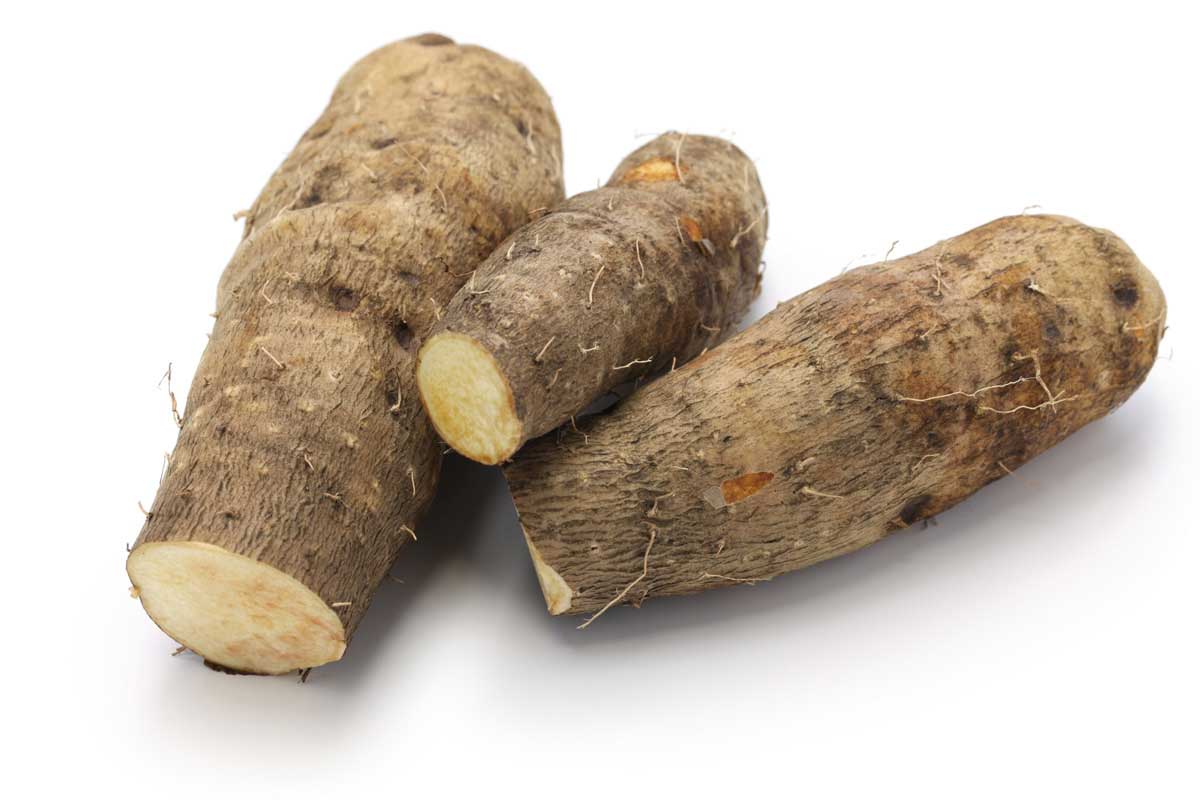 Yams (Ñame)