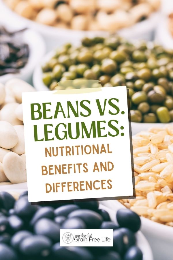 beans vs legumes nutritional benefits and differences