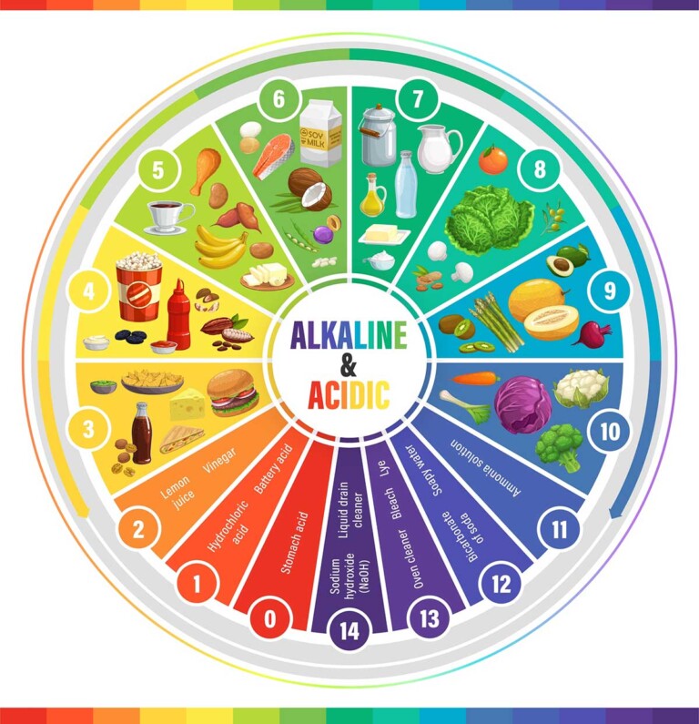 Free Acid &amp; Alkaline Food Chart Printable PDF and List