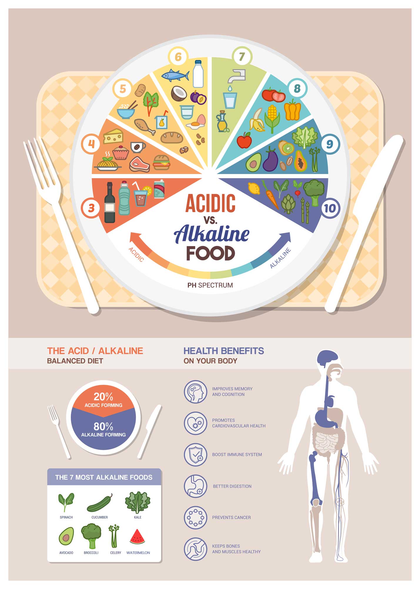 acidic vs alkaline foods