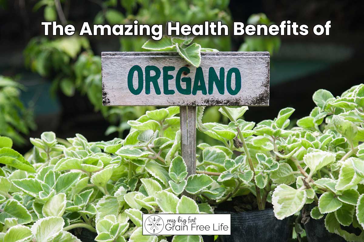 25 Amazing Health Benefits of Oregano Tea (Plus Recipe)