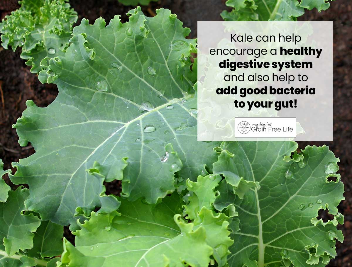 kale for salads