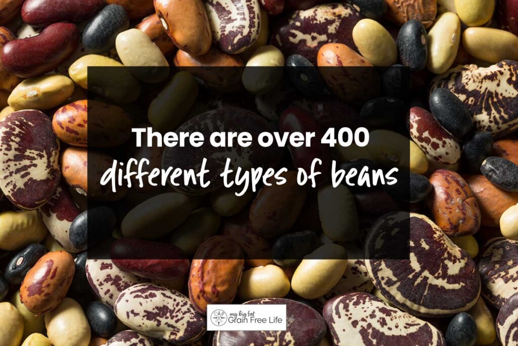 Beans Vs. Legumes Nutritional Benefits and Differences