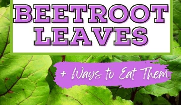 health benefits of beetroot leaves