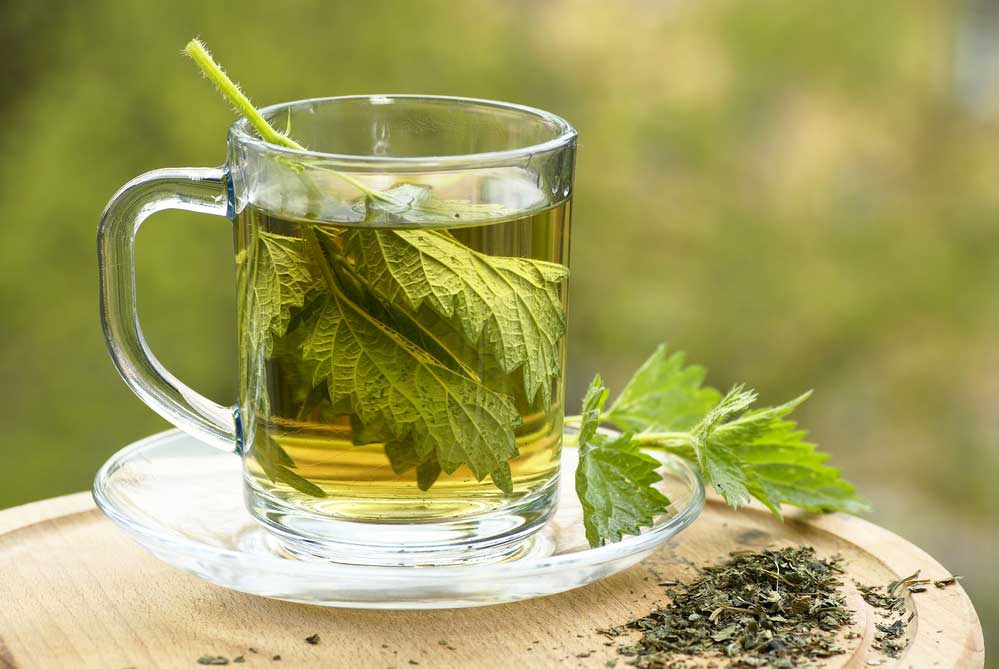 Nettle Leaf Tea for inflammation
