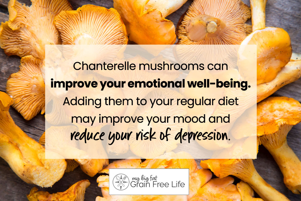 chantrelle mushrooms 