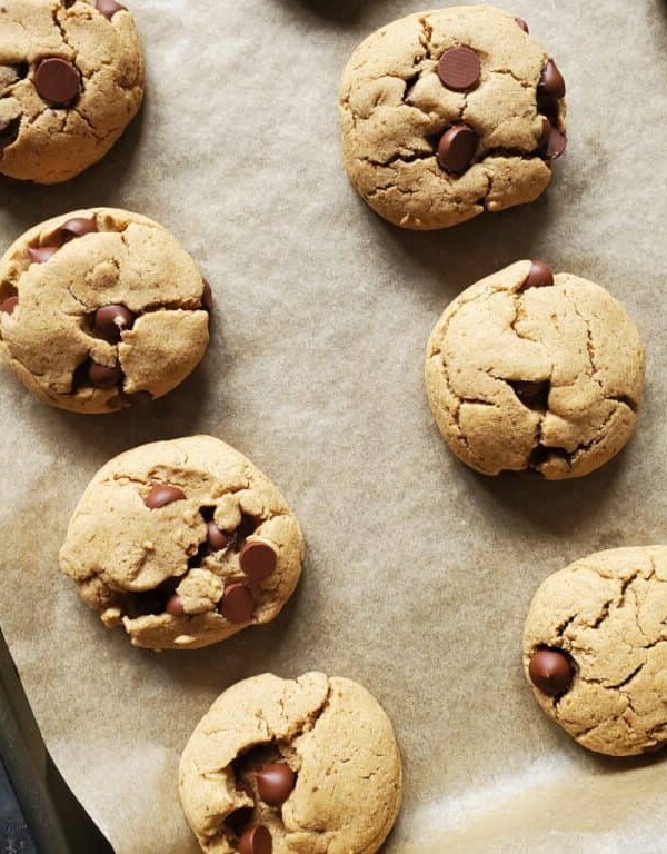 paleo dairy-free gluten-free chocolate chip cookie