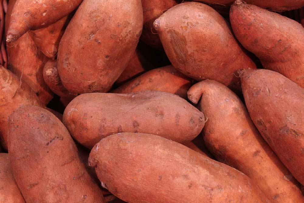 orange sweet potatoes