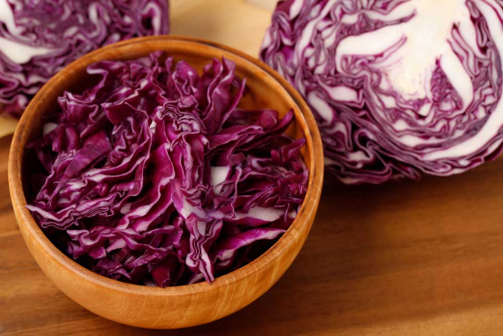 purple cabbage