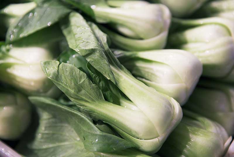 Bok Choy