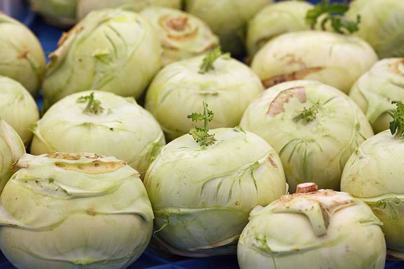 Kohlrabi