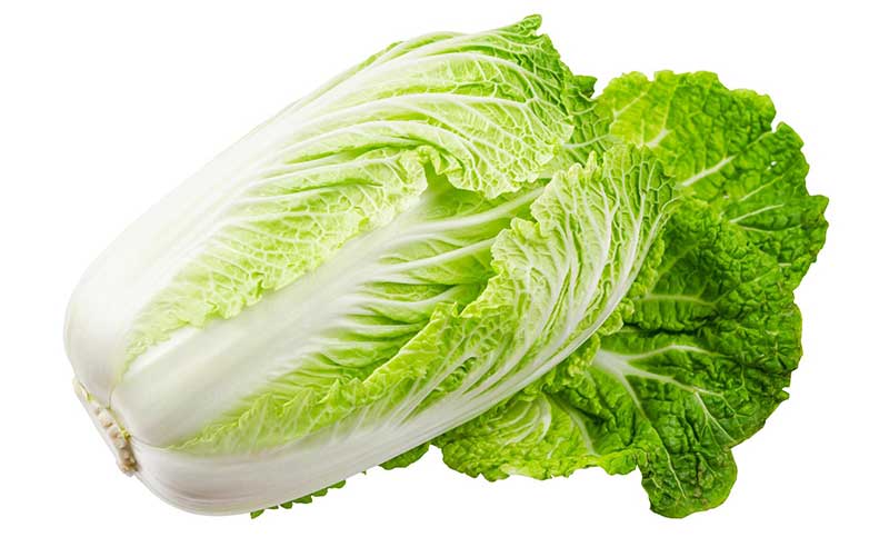 Napa Cabbage