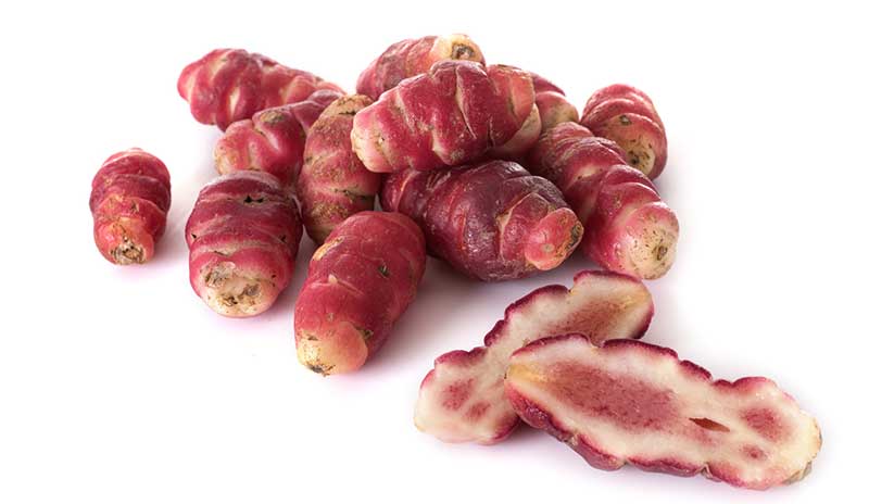 Oca