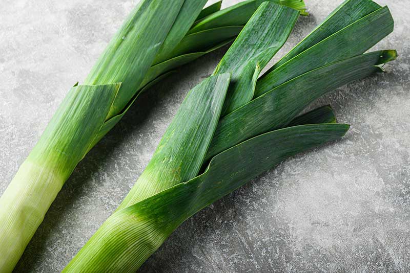 Leek