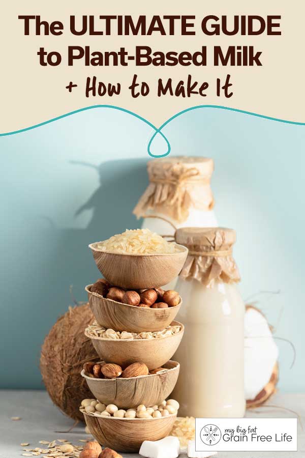 The Ultimate Guide to Plant Based Milk + How to Make It