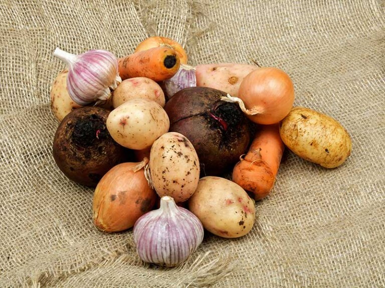 What are Tubers? 50 Tuber Crops with Uses and Nutrition