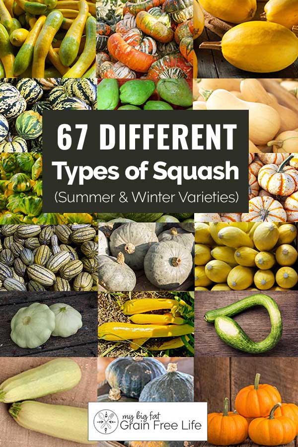 67 Different Types of Squash (Summer & Winter Varieties)