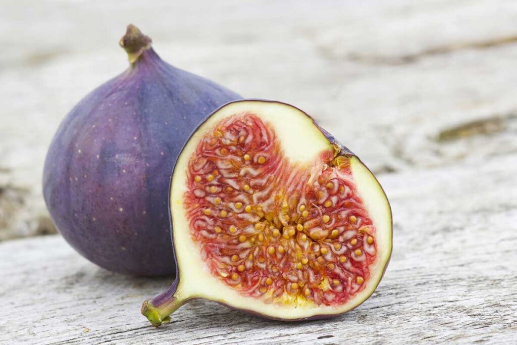 47 Health Benefits of Fig Leaves (Nutrition Facts + Uses)