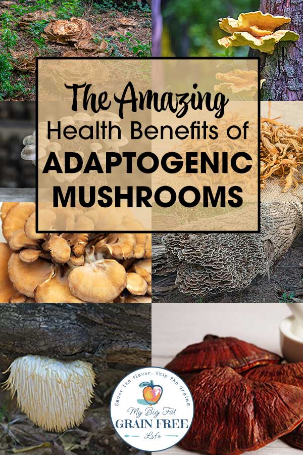 The Amazing Health Benefits of Adaptogenic Mushrooms