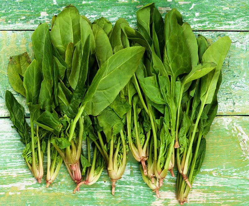 raw spinach leaves