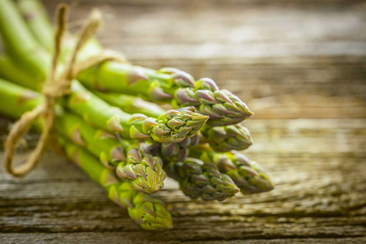 Asparagus