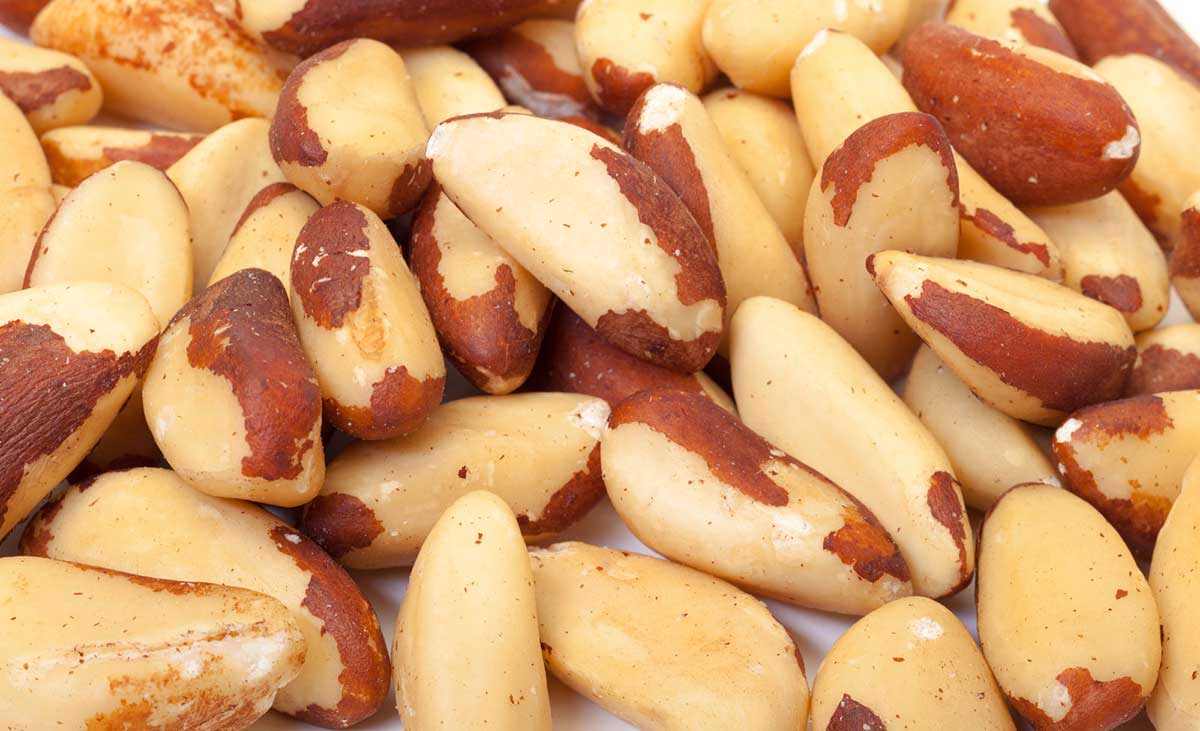 Brazil Nuts