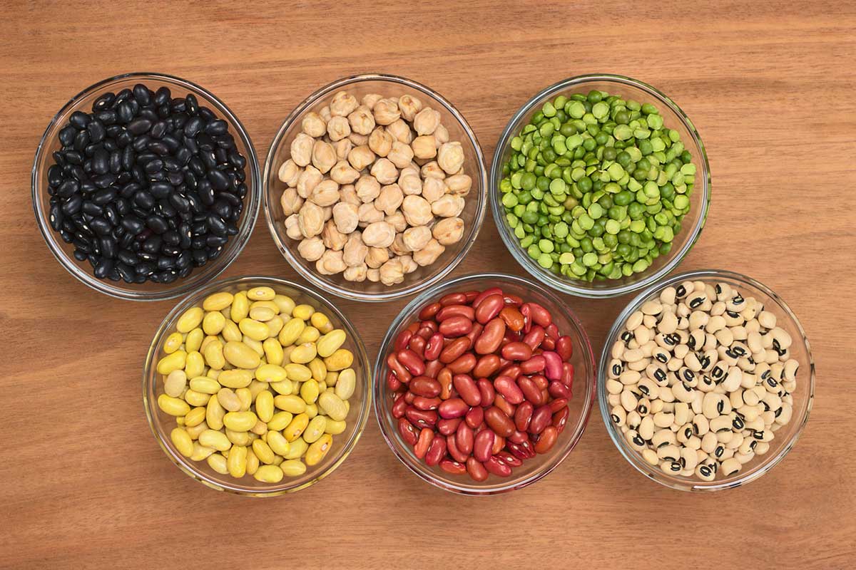 Legumes