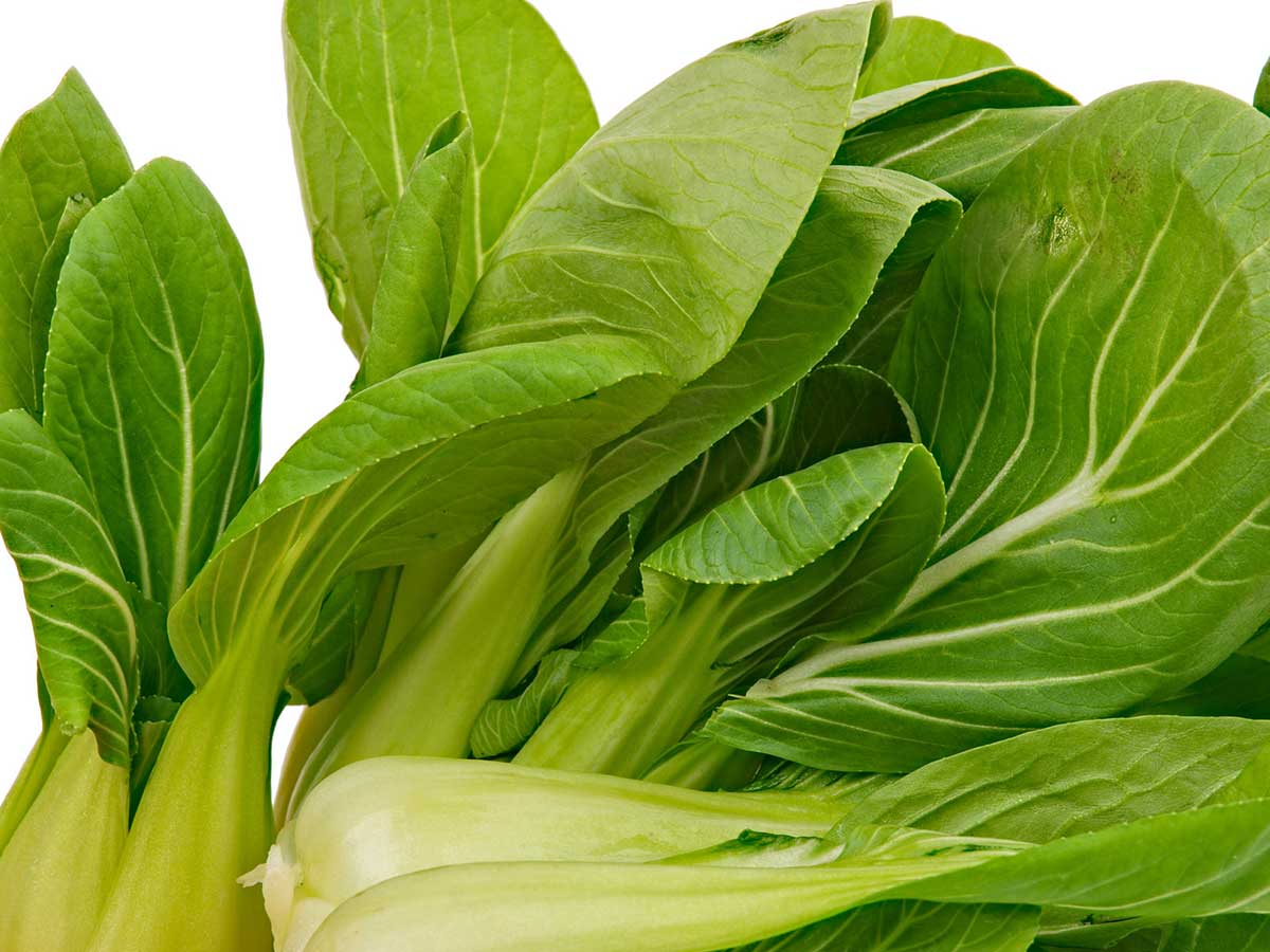 Bok Choy