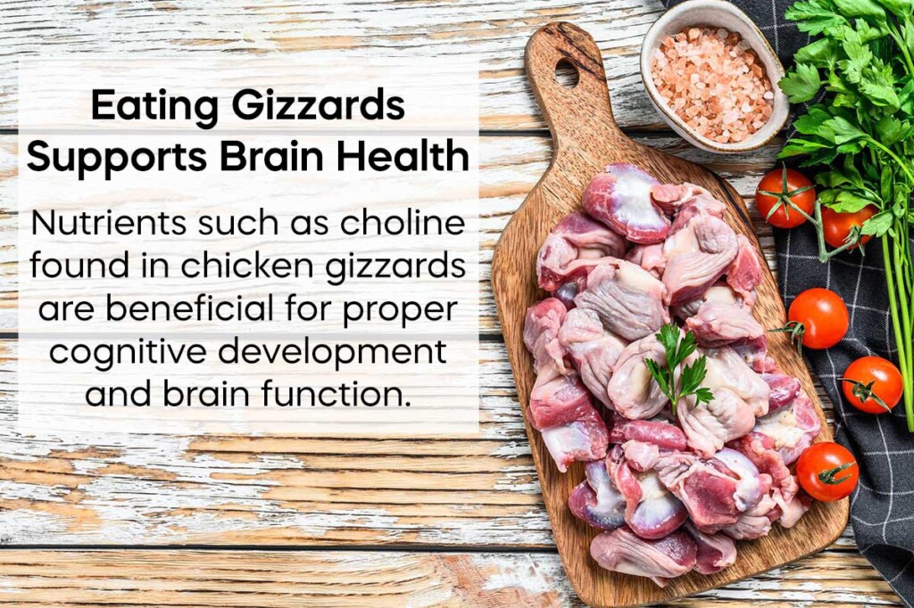 Health Benefits of Chicken Gizzard (21 is Surprising)