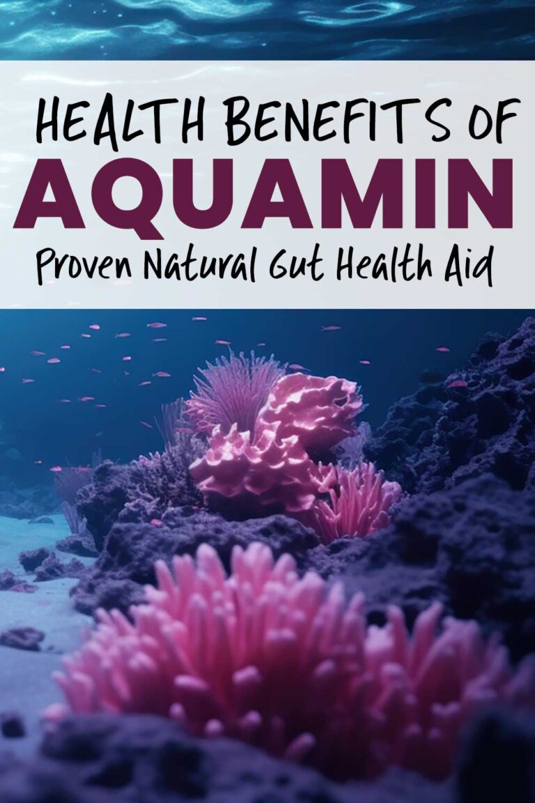 Health Benefits of Aquamin: Proven Natural Gut Health Aid