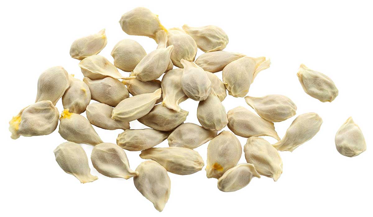 Health benefits shop of lemon seeds